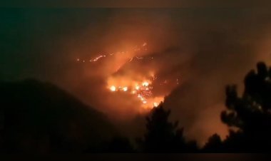 Wildfires in Chile Claim 18 Lives; Emergency Declared