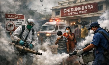 Chikungunya Cases on the Rise in Tamil Nadu