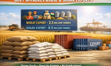 Centre Approves Export of 2.5 Million Tonnes of Wheat and Sugar