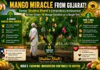 Gujarat Farmer Grows 14 Mango Varieties on a Single Tree After 25 Years of Effort