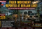 Tourist Restrictions Imposed Near Berijam Lake After Tiger Sightings in Kodaikanal