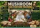 TNAU to Conduct One-Day Mushroom Cultivation Training on June 5, 2026