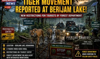 Tourist Restrictions Imposed Near Berijam Lake After Tiger Sightings in Kodaikanal