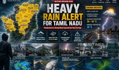Heavy Rain Likely in Several Tamil Nadu Districts, Chennai Weather to Remain Cloudy