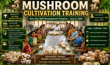 TNAU to Conduct One-Day Mushroom Cultivation Training on June 5, 2026