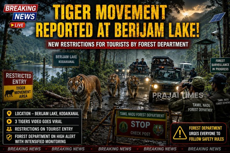 Tourist Restrictions Imposed Near Berijam Lake After Tiger Sightings in Kodaikanal