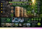 Canada Develops Biodegradable Battery Made from Tree Pulp That Dissolves Naturally in Soil