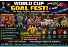 Netherlands Shine as USA, Brazil, Paraguay and Morocco Secure Key FIFA World Cup Victories