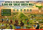 22 African Nations Unite to Build the 8,000 km Great Green Wall
