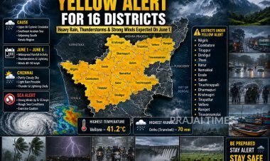 Heavy Rain Alert Issued for 16 Tamil Nadu Districts on June 1; IMD Issues Yellow Warning