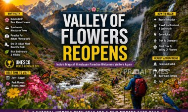 Valley of Flowers Reopens for Tourists: How to Reach, Best Time to Visit, and Nearby Attractions