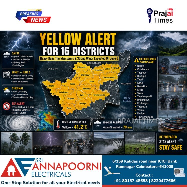 Heavy Rain Alert Issued for 16 Tamil Nadu Districts on June 1; IMD Issues Yellow Warning