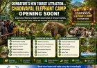 Coimbatore’s Chadivayal Elephant Camp Set to Become a New Eco-Tourism Destination