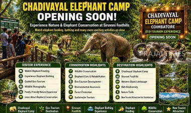 Coimbatore’s Chadivayal Elephant Camp Set to Become a New Eco-Tourism Destination