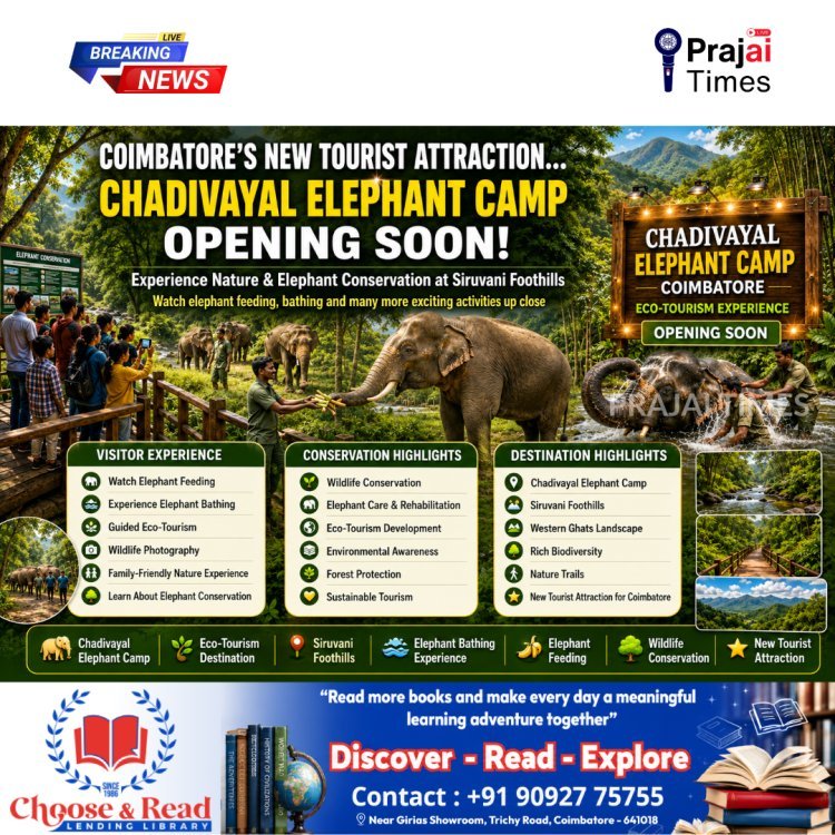 Coimbatore’s Chadivayal Elephant Camp Set to Become a New Eco-Tourism Destination
