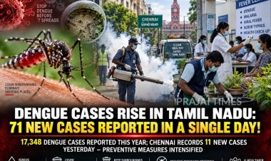 Dengue Cases Rise in Tamil Nadu as 71 New Infections Reported in a Single Day