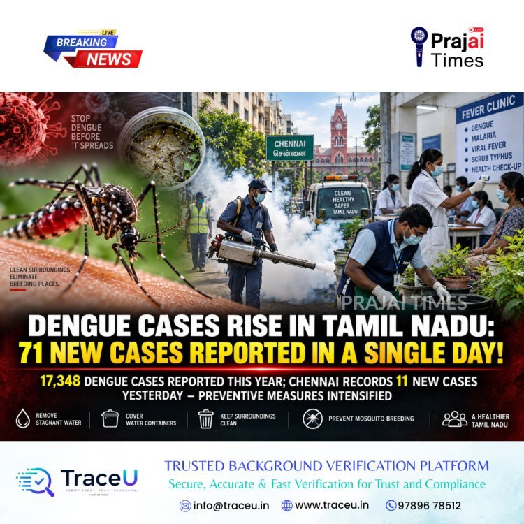 Dengue Cases Rise in Tamil Nadu as 71 New Infections Reported in a Single Day