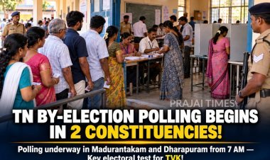 Tamil Nadu Bypolls 2026: Voting Begins in Madurantakam and Dharapuram, TVK Faces Key Test